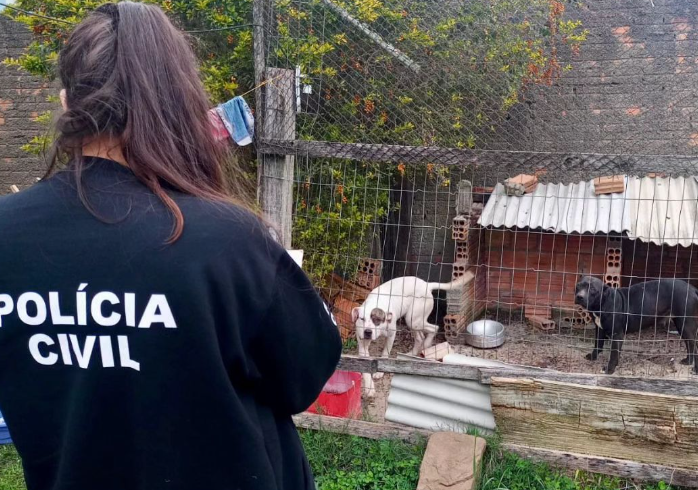Polícia fiscaliza denúncias de maus tratos contra animais