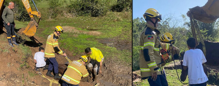 Bombeiros resgatam animal preso em banhado