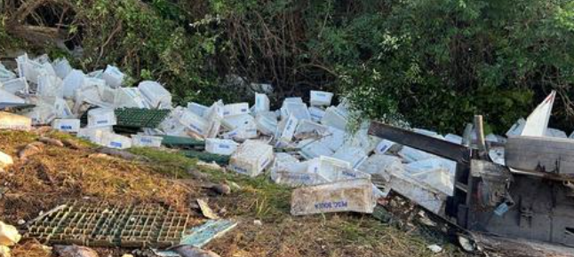 Carga de pescados espalhadas na pista causou bloqueio parcial de trecho da BR-290.