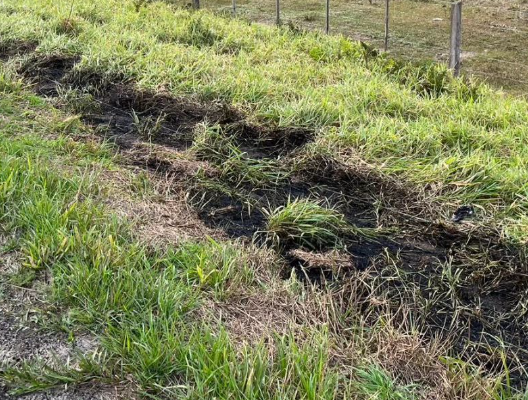 Queda de poste ocasionou incêndio na vegetação localizada as margens da rodovia.