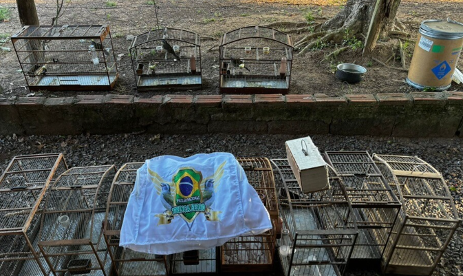 Policiais encontraram dezenas de gaiolas e algumas aves silvestres durante ação em SAP.