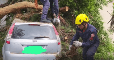 Bombeiros realizaram poda de árvore que atingiu residência no Porto Lacustre.