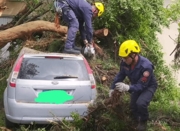 Bombeiros realizaram poda de árvore que atingiu residência no Porto Lacustre.