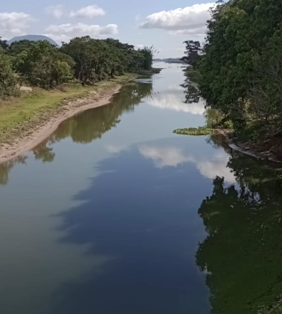 Canal que liga lagoas em Osório registra morte de peixes