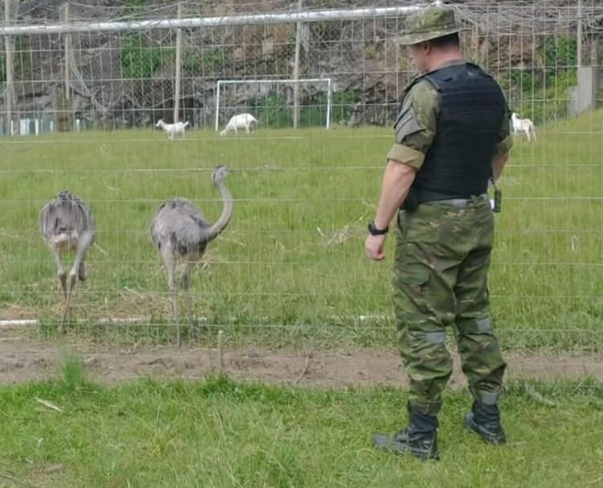 Patram resgata animais em cativeiro