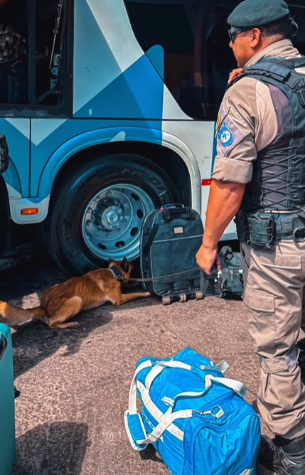 Policiais realizam Operação em rodoviárias do Litoral
