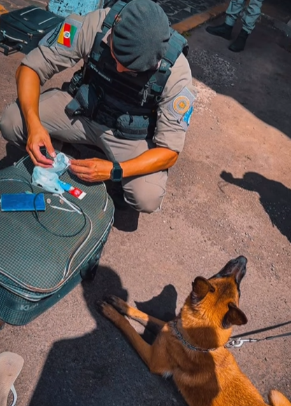 Com auxílio de cães farejadores, policiais fiscalizaram bagagens.