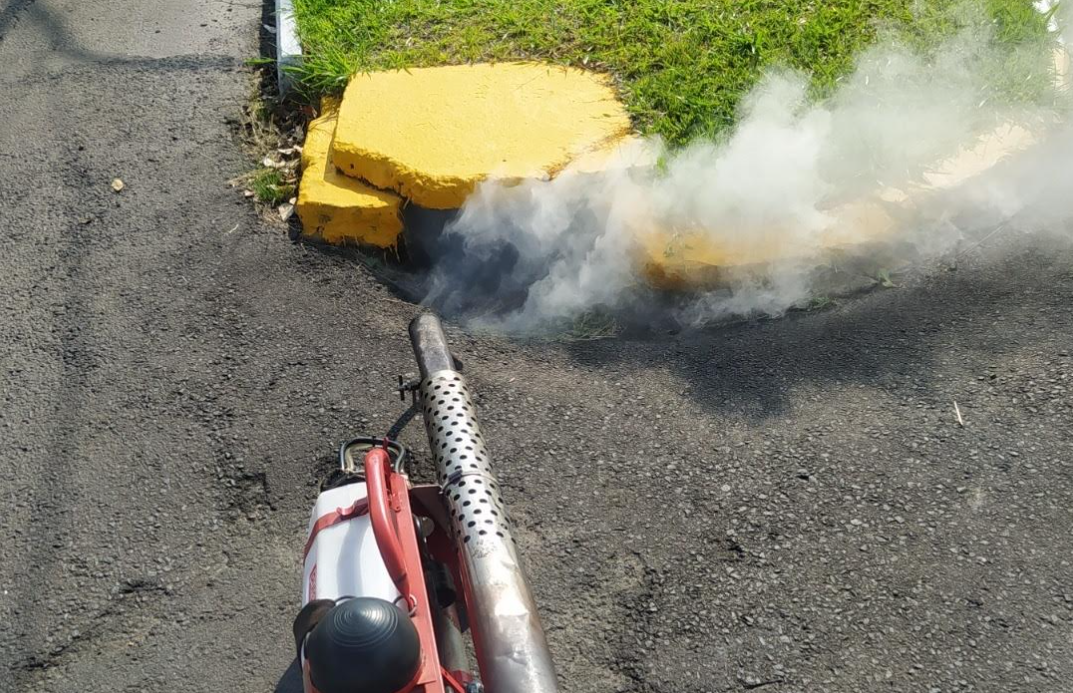 Vigilância Sanitária realiza ação para combater insetos