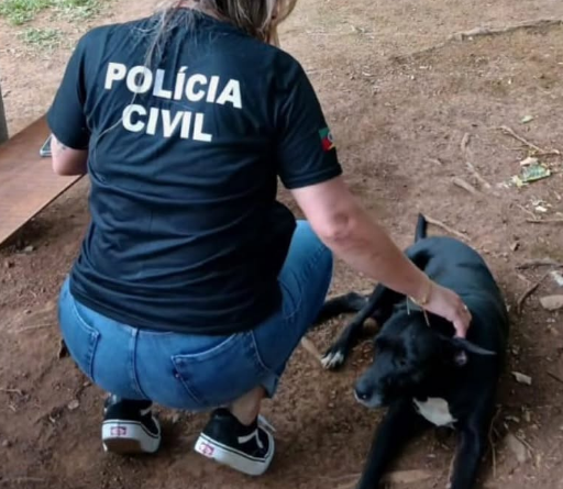 Animais foram resgatados durante ação realizada na última sexta-feira (7).