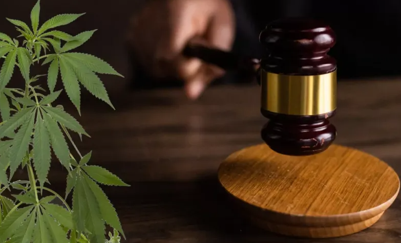 STF mantém posse de até 40g de maconha para diferenciar usuários de traficantes