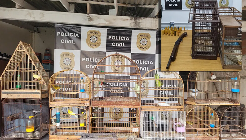 Aves silvestres são apreendidas durante ações da Polícia