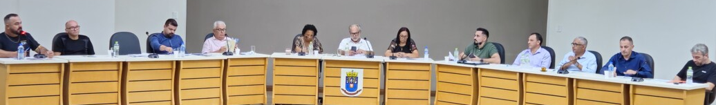 Vereadores aprovam PL que denomina rampa de Voo Livre como Darcy Assis