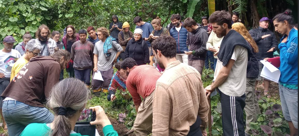 Litoral Norte recebe Seminário sobre Agroflorestas