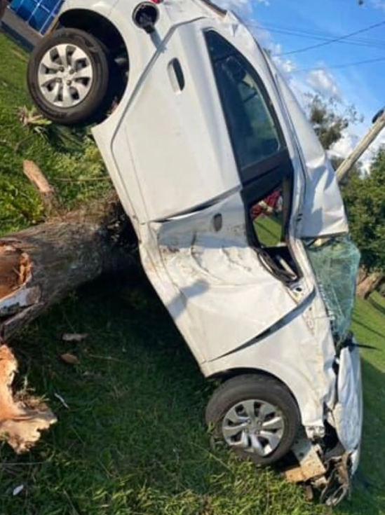 Automóvel acabou derrubando árvore em propriedade às margens da BR-101.