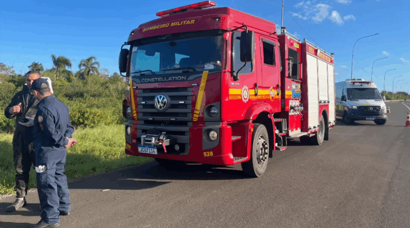 Com auxílio de apicultor, bombeiros conseguiram retirar enxame do local.