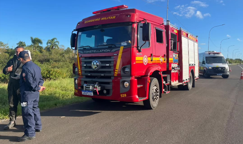Homem morre ao ser atacado por abelhas