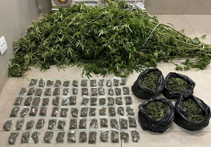 Policiais apreenderam quatro sacos, 10 árvores e 76 porções de maconha ‘camarão’.