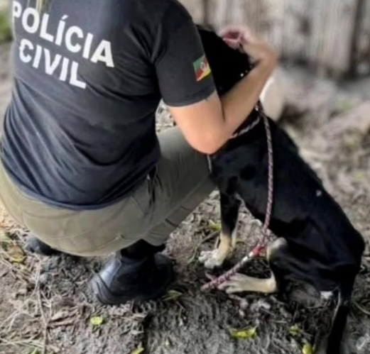 Polícia fiscaliza denúncias de maus tratos contra animais
