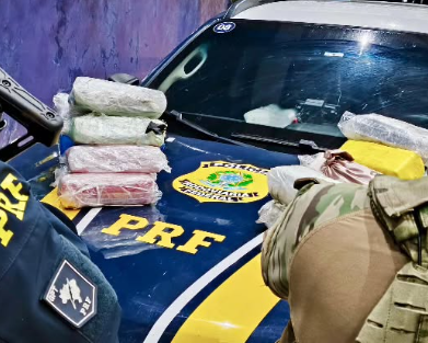 Mais de 20 quilos de drogas são apreendidos na BR-101