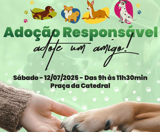 Praça da Matriz receberá Feira de Adoção