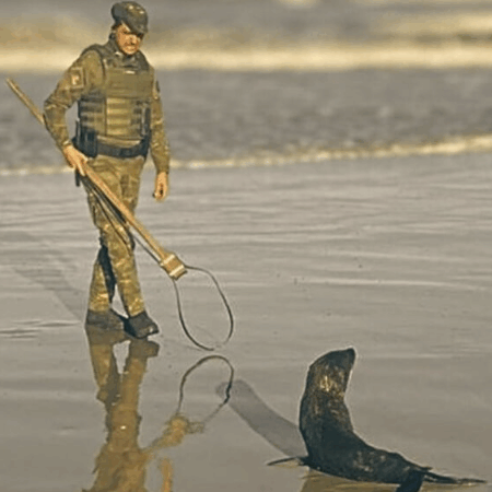 Animais são resgatados pela Patram