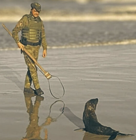 Animais são resgatados pela Patram