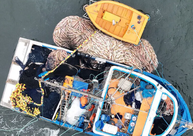 Patram apreende mais de 27 toneladas de peixe