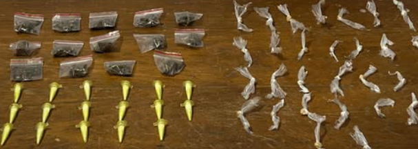 Ação em Cidreira apreendeu 59 porções de drogas, como maconha, cocaína e crack.
