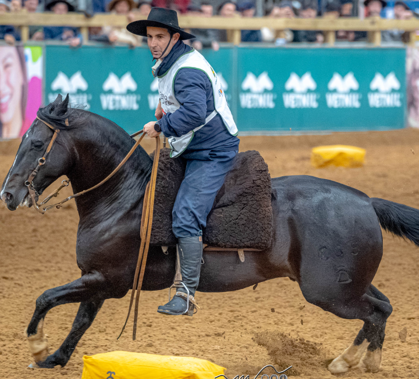 Cabanha Rodigheri é premiada na Expointer