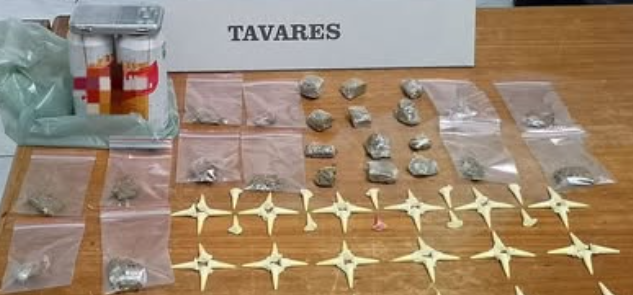 Mulher foi presa em Tavares com objetos e mais de 100 porções de entorpecentes.