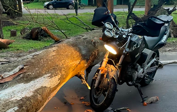 Motociclista fica ferida em acidente na ERS-040