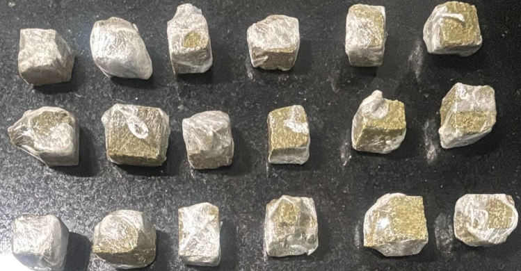 Ação em Balneário Pinhal apreendeu aproximadamente 500 gramas de maconha.