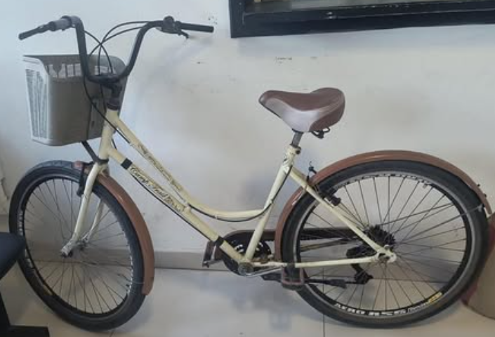 Mulher é presa após furtar bicicleta