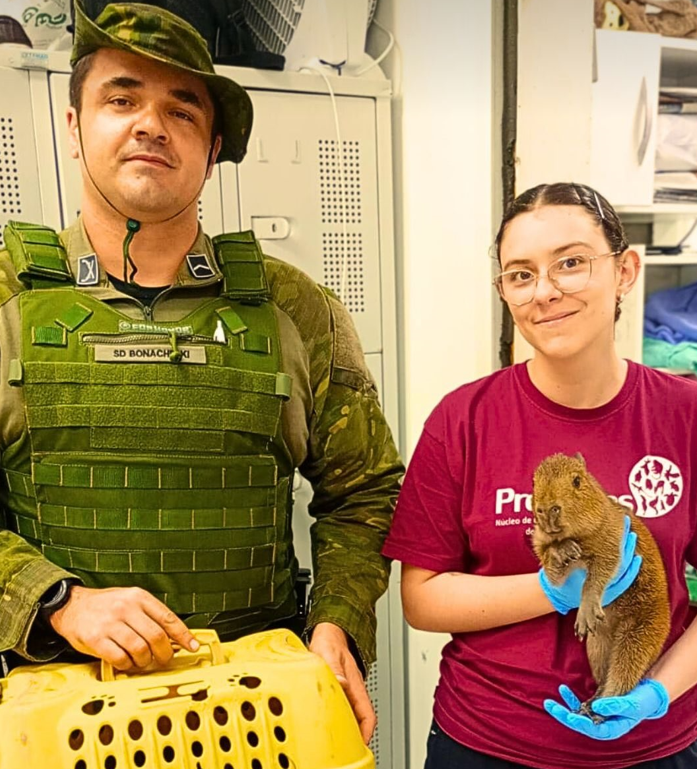 Patram realiza resgate de animais