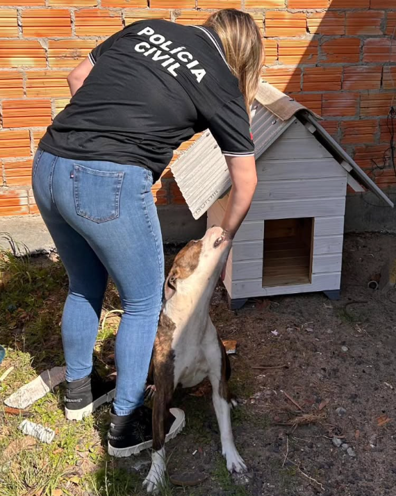 Polícia fiscaliza denúncias de maus tratos contra animais