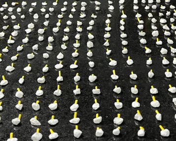 Criminoso foi preso carregando 240 porções de cocaína durante ação em Imbé.