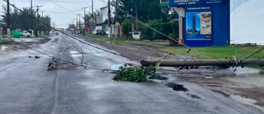 Queda de postes e árvores ocasionou no bloqueio de vias em diferentes municípios.