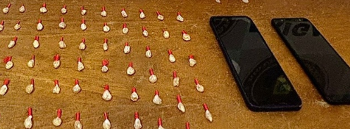 Policiais Militares apreenderam celulares e 59 pedras de crack em Cidreira.