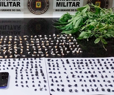 Arma, munições, um pé de maconha e cerca de 400 porções de drogas foram apreendidas em Tramandaí.