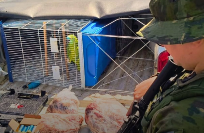 Patram apreende ave e carnes de caça