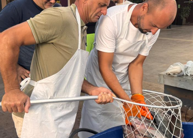 Feira do Peixe registra bons números em vendas